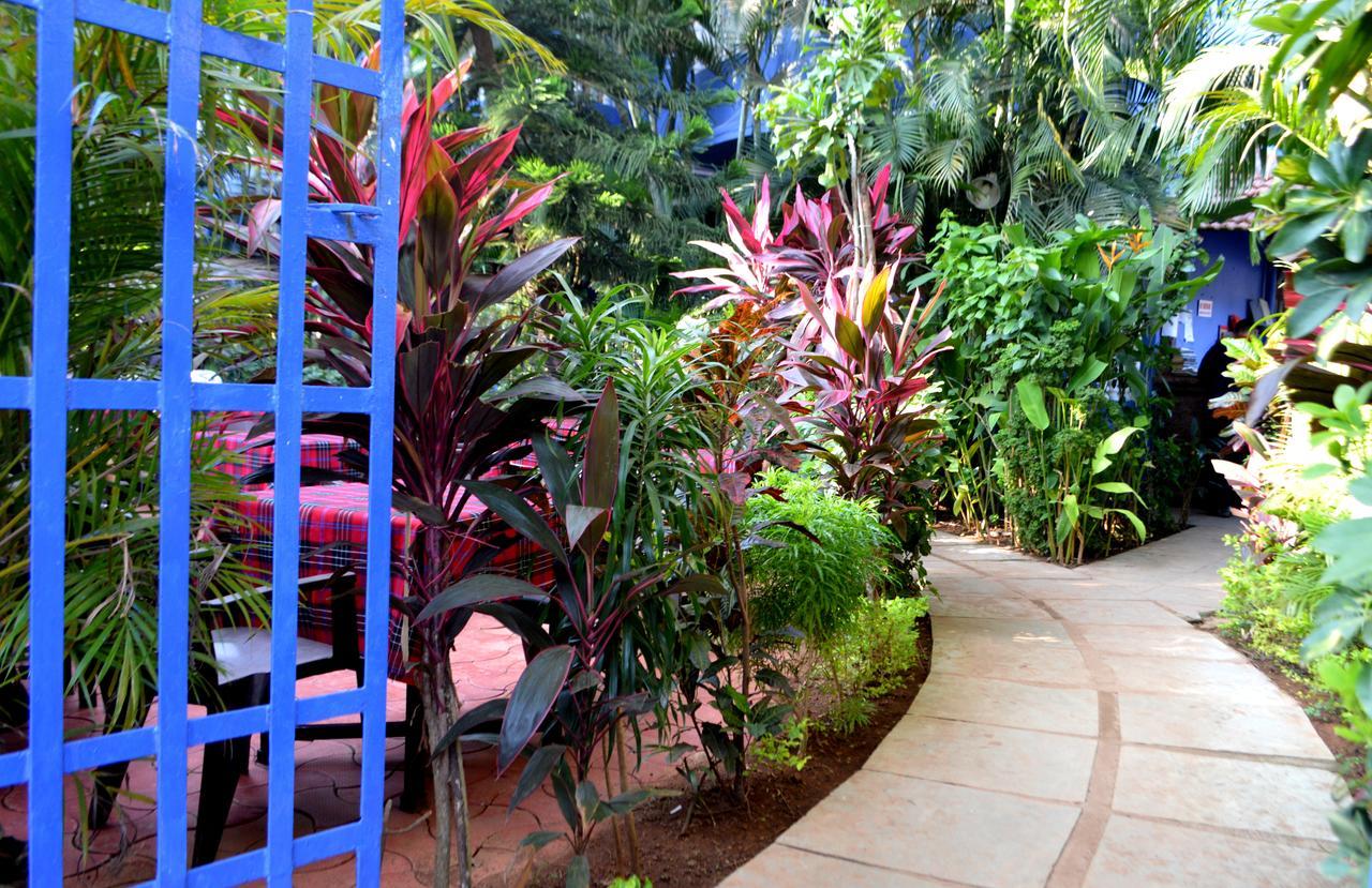 קלנגוטה Villa Theresa Beach Resort מראה חיצוני תמונה