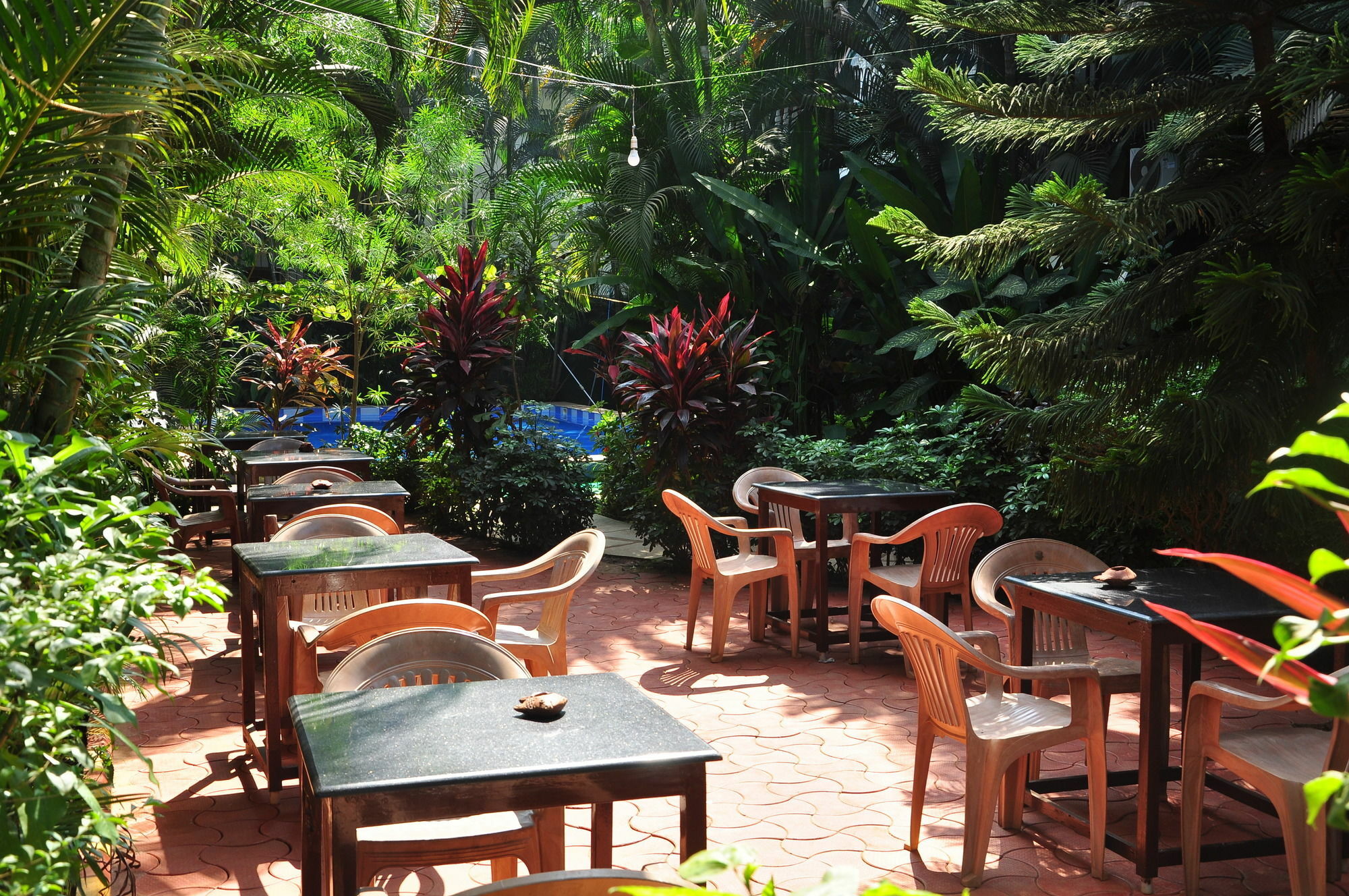 קלנגוטה Villa Theresa Beach Resort מראה חיצוני תמונה