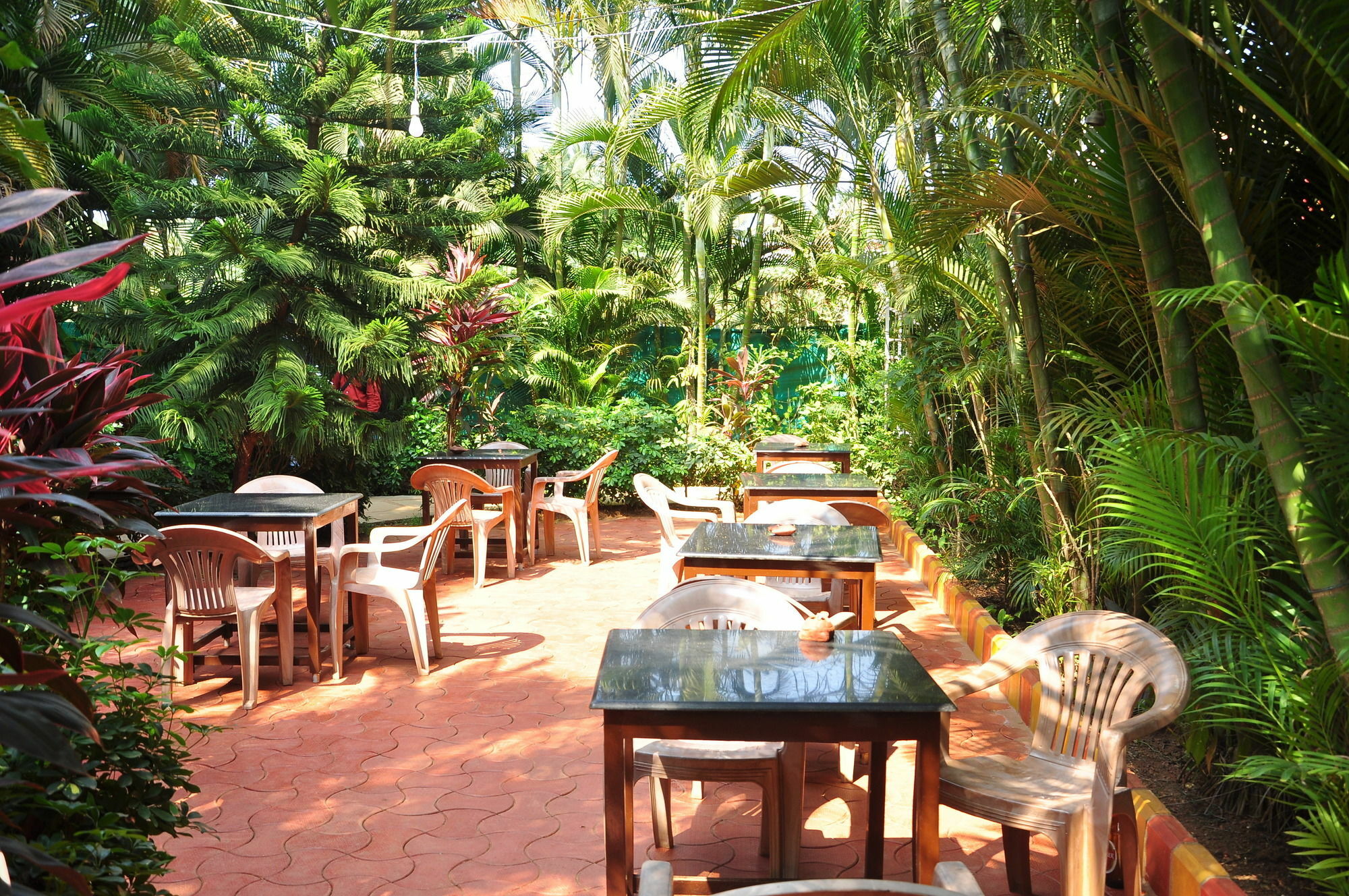 קלנגוטה Villa Theresa Beach Resort מראה חיצוני תמונה